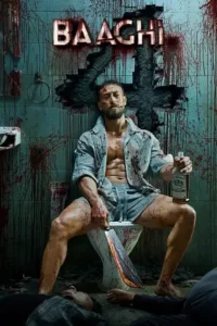 baaghi 4 2025 , Moviesflix